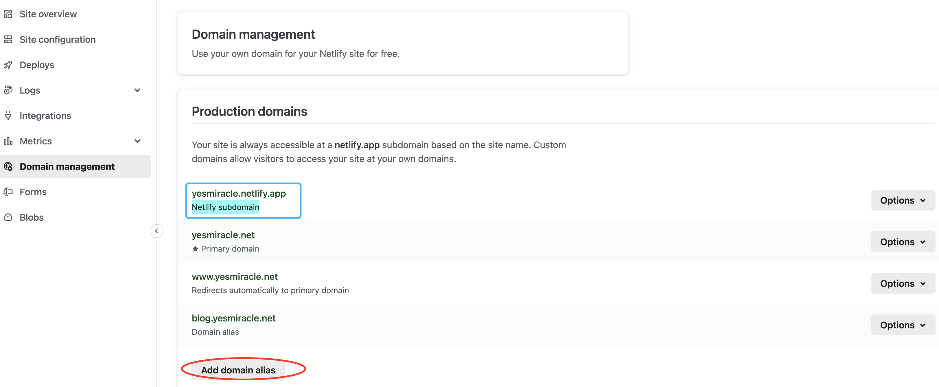 社区教程作者的 Netlify Domain management 真实截图