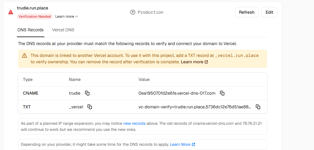 社区教程里 Vercel 提示 TXT 和 CNAME 两条记录的真实截图
