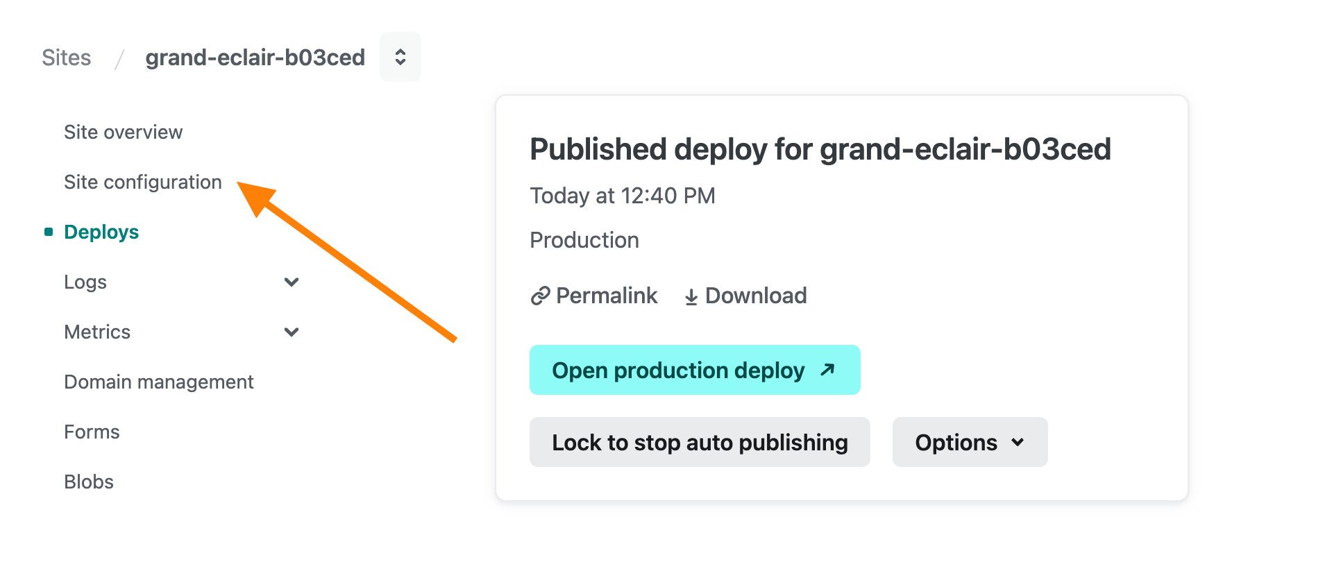 第三方教程作者的 Netlify Site overview 实际后台截图