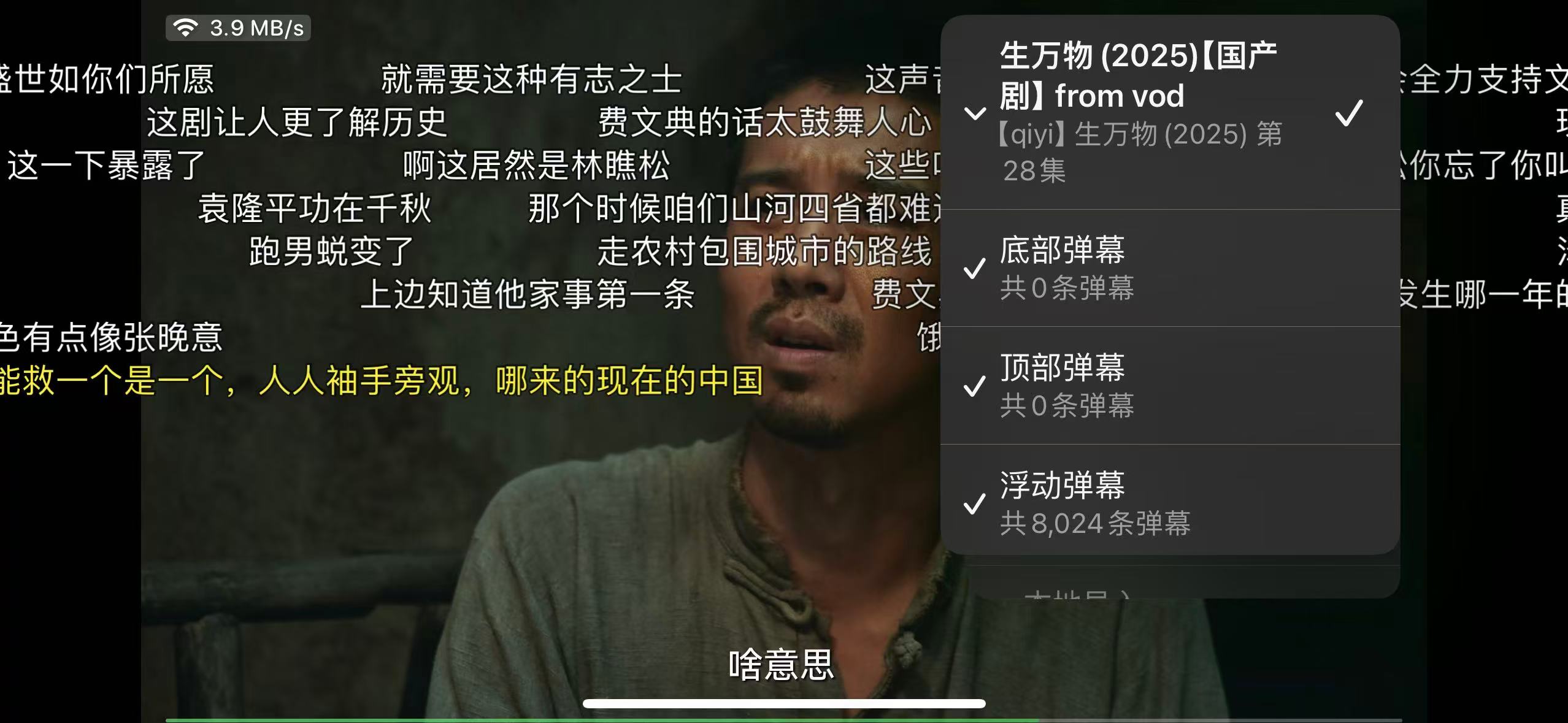 senplayer 成功加载弹幕的实际截图